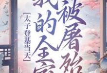 安容锦姜卿云小说完整版《太子登基当天，我的全家被屠殆尽》免费阅读-殇情文学