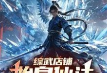 综武店铺:始皇仙法,万界疯狂小说全文哪里可以免费看?-殇情文学