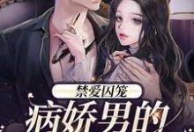 禁爱囚笼:病娇男的独占欲小说有没有完结版在线?-殇情文学