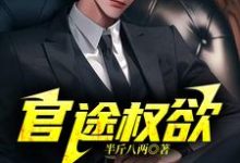 免费在线阅读官途权欲小说的正规网站有哪些?-殇情文学