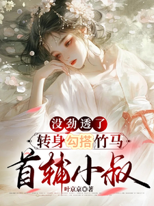 完整版的没劲透了，转身勾搭竹马首辅小叔小说在哪里可以免费读到？