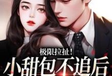 《极限拉扯！小甜包不追后男神他慌了》小说章节列表免费试读，姜至季川小说在线阅读-殇情文学