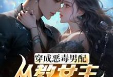 在线免费阅读教女主厚脸皮,可没教她不要脸啊完整小说-殇情文学
