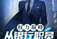 权力巅峰:从银行职员到封疆大吏小说的免费阅读版本在哪里可以找到?-殇情文学