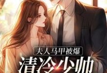 完结版《夫人马甲被爆,清冷少帅宠妻无度!》章节阅读-殇情文学
