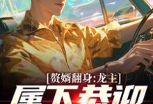 赘婿翻身:龙主,属下恭迎您归位小说全文阅读需要付费吗?寻找免费资源-殇情文学