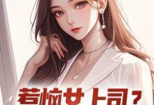 惹恼女上司?我有妙计摆平完整版小说,惹恼女上司?我有妙计摆平免费阅读-殇情文学