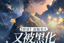 【快穿】花瓶美人又被黑化反派盯上了小说的无弹窗阅读体验,寻找免费阅读网站-殇情文学