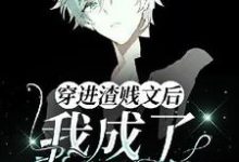 【ABO】穿进渣贱文后我成了万人迷慕白辞小说完结版章节在线阅读-殇情文学