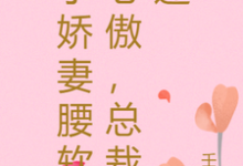 完结版《小娇妻腰软心傲,总裁迷》章节阅读-殇情文学