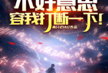 不好意思,容我打断一下!小说无弹窗阅读的网站推荐-殇情文学