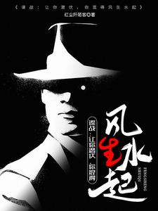 在线免费阅读谍战：让你潜伏，你混得风生水起完整小说