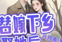完结版《替嫁下乡,娶她后,他全家都活了》免费阅读-殇情文学
