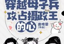 完结版《穿越母子兵，攻占摄政王的心》免费阅读-殇情文学
