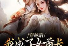穿越后，我成了女酋长的娇夫免费阅读，穿越后，我成了女酋长的娇夫苏毅姚羽-殇情文学