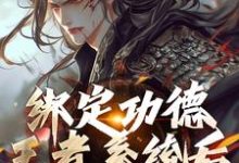 小说《绑定功德王者系统后,我举世无敌》章节免费阅读-殇情文学