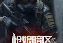枪娘暗区：开局拜师尤文小说全文哪里可以免费看？-殇情文学