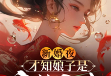 李清廉沈玉书小说完结版在线阅读,新婚夜,才知娘子是魔教圣女免费看-殇情文学