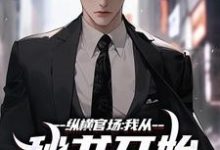 寻找纵横官场：我从秘书开始强势崛起小说的最新更新章节-殇情文学