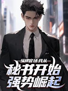 寻找纵横官场：我从秘书开始强势崛起小说的最新更新章节