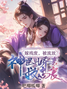 嫁残废，被流放，神医娇妻救忠良章节免费在线阅读，沈昭昭战南星完结版