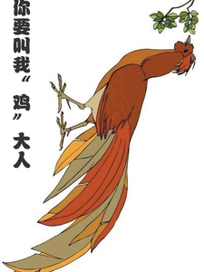 姬容完整版小说《你要叫我鸡大人》免费阅读