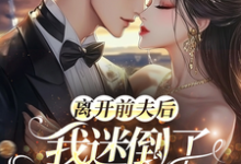 离开前夫后,我迷倒了豪门太子爷完整版小说,离开前夫后,我迷倒了豪门太子爷免费阅读-殇情文学