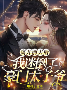 离开前夫后，我迷倒了豪门太子爷完整版小说，离开前夫后，我迷倒了豪门太子爷免费阅读