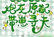 军婚七年未见,炮灰原配带崽寻夫完整版小说,军婚七年未见,炮灰原配带崽寻夫免费阅读-殇情文学
