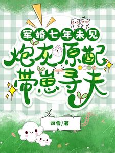 军婚七年未见，炮灰原配带崽寻夫完整版小说，军婚七年未见，炮灰原配带崽寻夫免费阅读