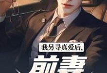 我另寻真爱后,前妻后悔了小说无弹窗阅读的网站推荐-殇情文学