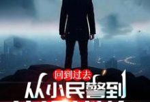 回到过去:从小民警到仕途巅峰!江城,回到过去:从小民警到仕途巅峰!小说免费阅读-殇情文学