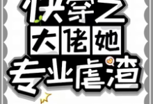 《快穿之大佬她专业虐渣》幽冥完整版小说免费阅读-殇情文学