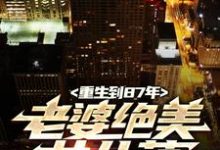 小说完整版《重生到87年,老婆绝美女儿萌》免费阅读-殇情文学