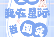 小说《重生：我在星际当团宠》章节免费阅读-殇情文学
