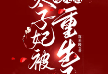 《太子妃被毒死后重生了》小说沐悠然夜瑾寒章节章节免费在线阅读-殇情文学