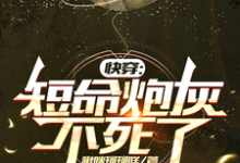 已完结小说《快穿:短命炮灰不死了》在线章节阅读-殇情文学