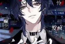 完结版《小可怜爆改癫少,发疯锤爆所有人》章节目录在线阅读-殇情文学