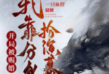 开局被赐婚,我靠分身扮演幕后小说的无弹窗阅读体验,寻找免费阅读网站-殇情文学