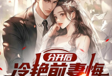 分开后，冷艳前妻悔哭求复合免费阅读，分开后，冷艳前妻悔哭求复合赵成-殇情文学
