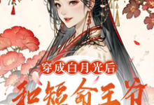 在线寻找穿成白月光后，和短命王爷HE了小说的无删减版本-殇情文学
