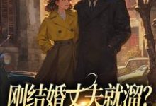 已完结小说《刚结婚丈夫就溜?姐真不吃人!》最新章节-殇情文学