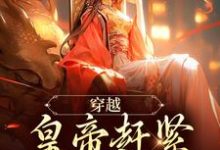 求推荐可以免费阅读穿越:皇帝赶紧给我打江山小说的网站-殇情文学