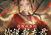 完结版《改嫁成寡妇,你说我夫君又复活了?》章节阅读-殇情文学