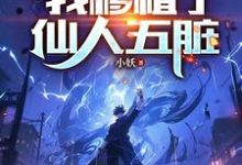 《腰子被噶,我移植了仙人五脏》陈凡完整版小说免费阅读-殇情文学