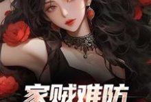小说《家贼难防：老婆是个扶弟魔》完整版章节免费阅读-殇情文学