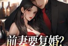 赵青峰白晓星完整版小说《前妻要复婚？我让她跪着滚》免费阅读-殇情文学