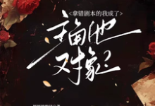 拿错剧本的我成了主角他对象？小说，拿错剧本的我成了主角他对象？在线阅读-殇情文学
