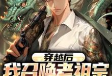 林辰小说完结版在线阅读，穿越后，我召唤老祖宗来讲课免费看-殇情文学