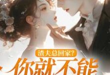 渣夫总回家？你就不能找找新欢洛言赵晏州，渣夫总回家？你就不能找找新欢章节在线阅读-殇情文学